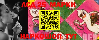 шишки Кузнецк