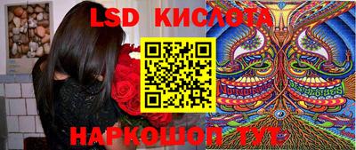 шишки Кузнецк