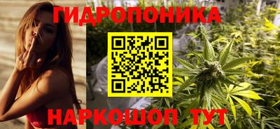 бошки Кудрово