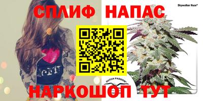 бошки Кудрово