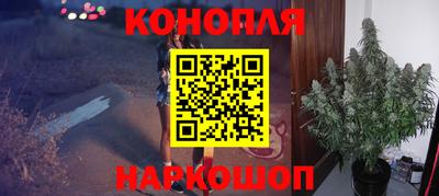 бошки Кудрово