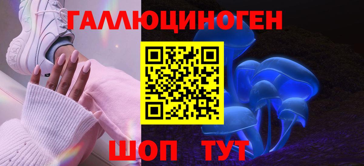 Псилоцибиновые грибы Psilocybe  Псилоцибиновые грибы Magic Shrooms  даркнет сайт  Аргун  Вход с VPN 